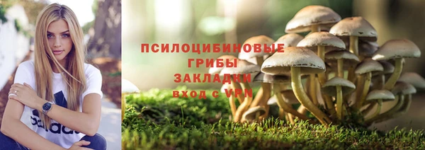 трава Арсеньев