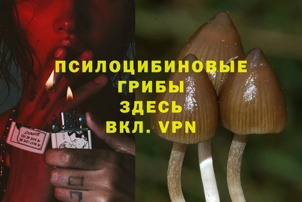 ешки Алексин