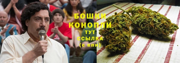 трава Арсеньев