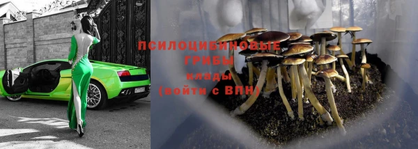 шишки Армянск