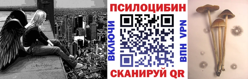 где купить   Дюртюли  Галлюциногенные грибы Psilocybine cubensis 