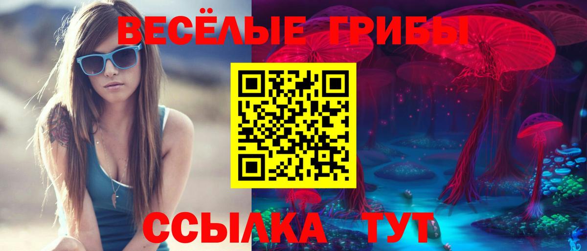 Псилоцибиновые грибы мухоморы Дюртюли