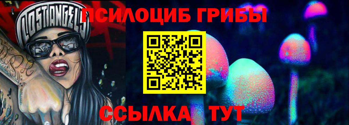 где найти   Вход с VPN  Псилоцибиновые грибы мухоморы  Дюртюли  Галлюциногенные грибы GOLDEN TEACHER 